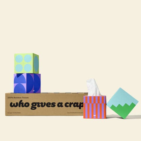 Who Gives A Crap 100% Bamboo Forest Friendly Tissues - Carton of 12 Boxes